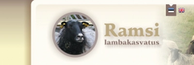 Tunnusgraafika disain veebilehele