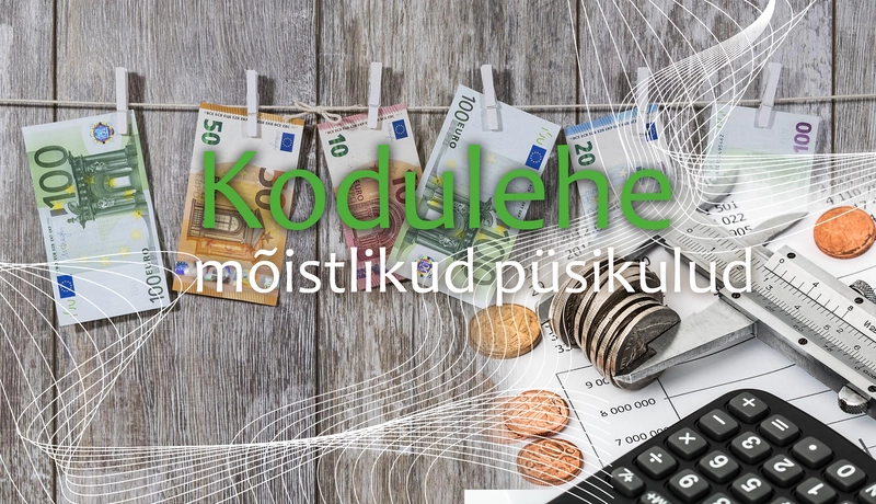 Millised on kodulehe p�sikulud domeenile ja serverile?