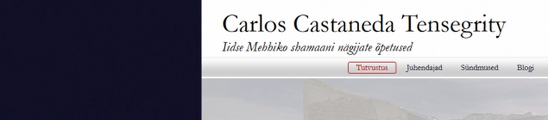 Logo kujundamine, kuidas valmib logo