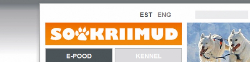 Logo valmistamine, visuaalkujundid